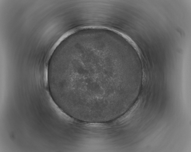 X0000112931295200909071025