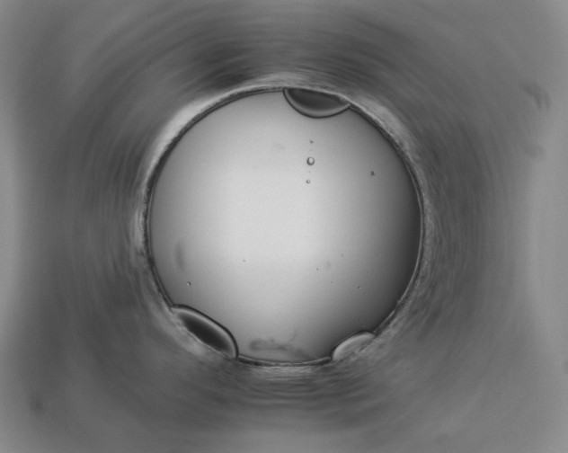 X0000112931296200909071025