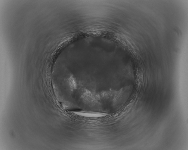 X0000112931297200909071025