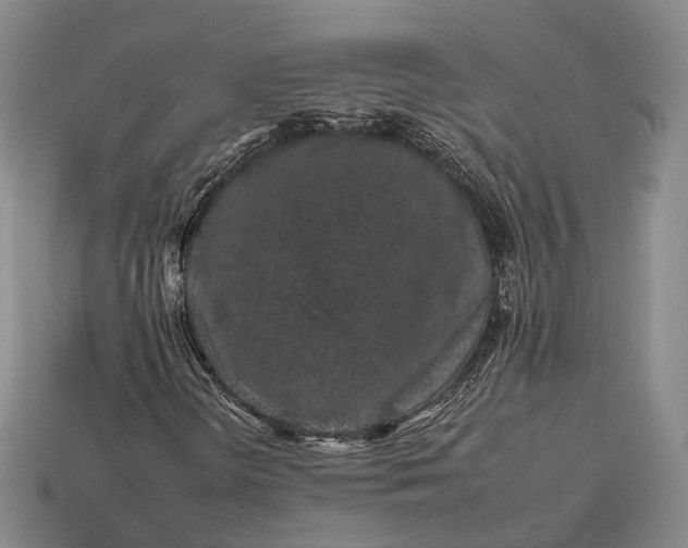 X0000112931298200909071025