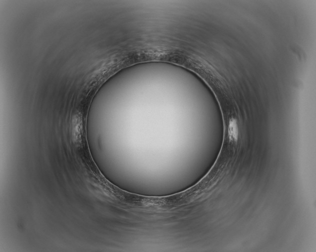 X0000112931299200909071025