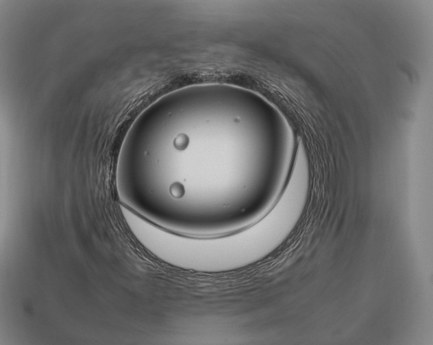 X0000112931300200909071025