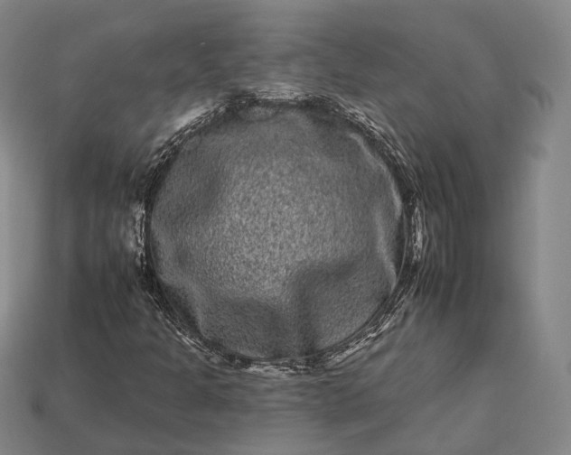 X0000112931301200909071025