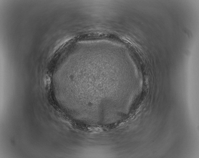 X0000112931302200909071025