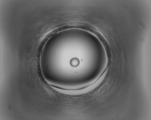 X0000112931304200909071025