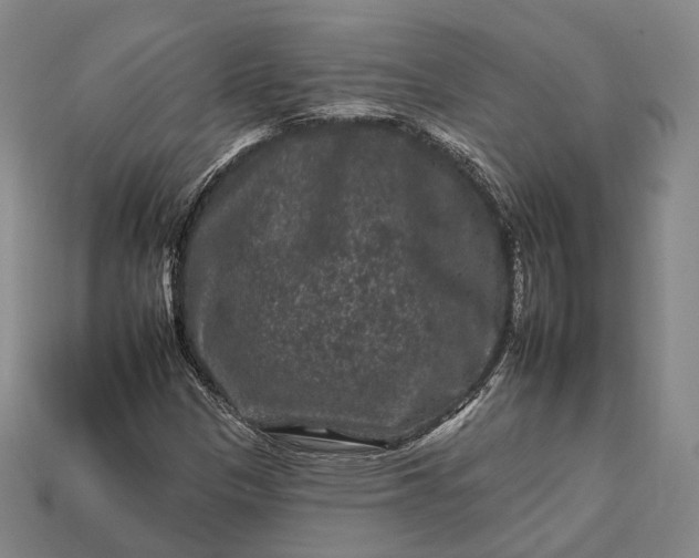 X0000112931305200909071025