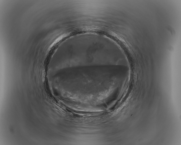 X0000112931306200909071025