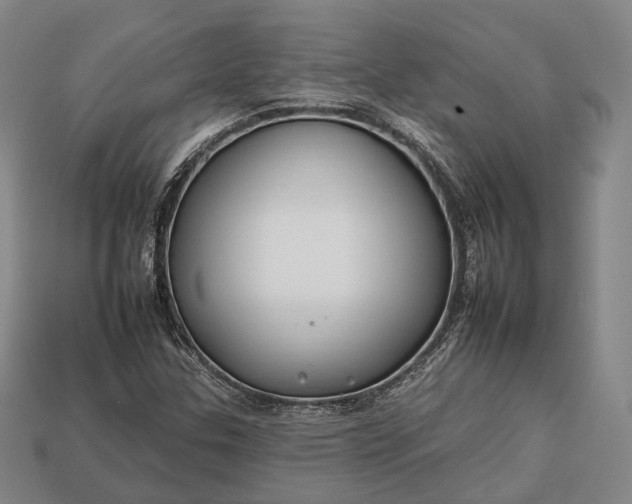 X0000112931307200909071025