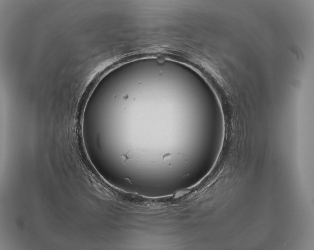 X0000112931308200909071025