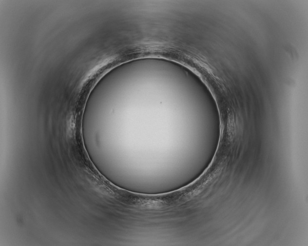 X0000112931309200909071025