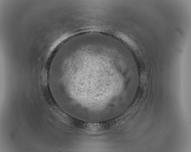 X0000112931310200909071025