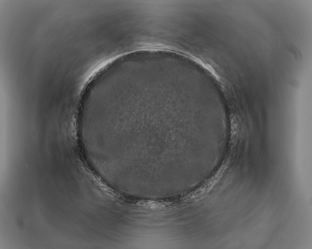 X0000112931311200909071025