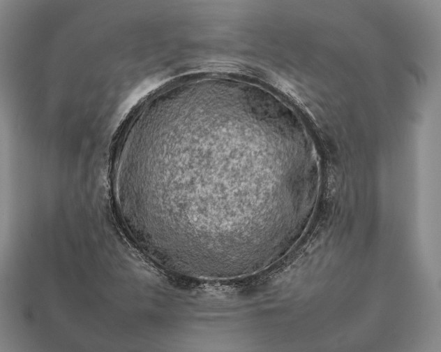 X0000112931312200909071025