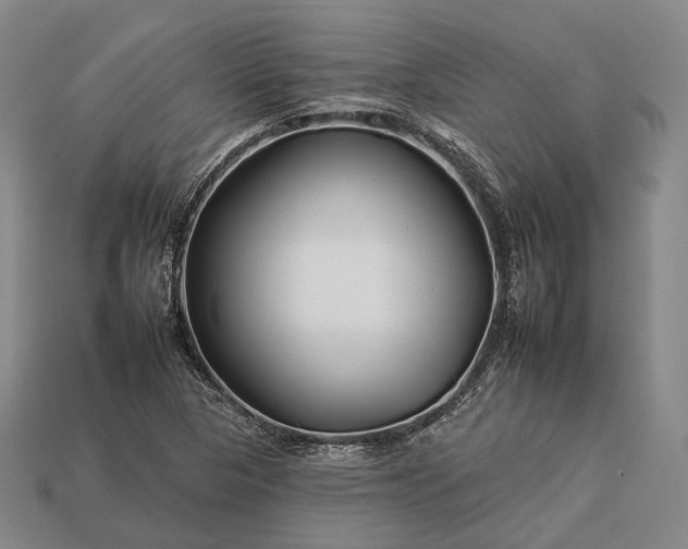 X0000112931313200909071025