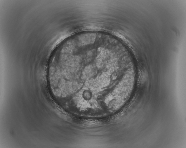 X0000112931314200909071025