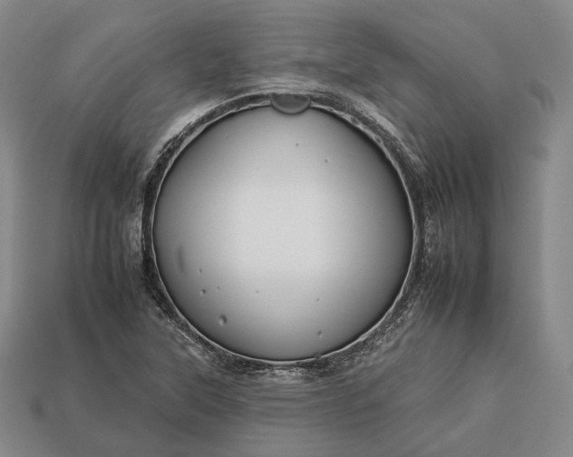 X0000112931315200909071025