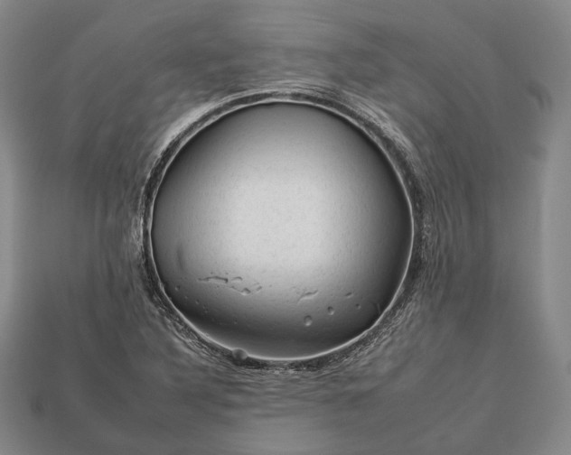 X0000112931316200909071025