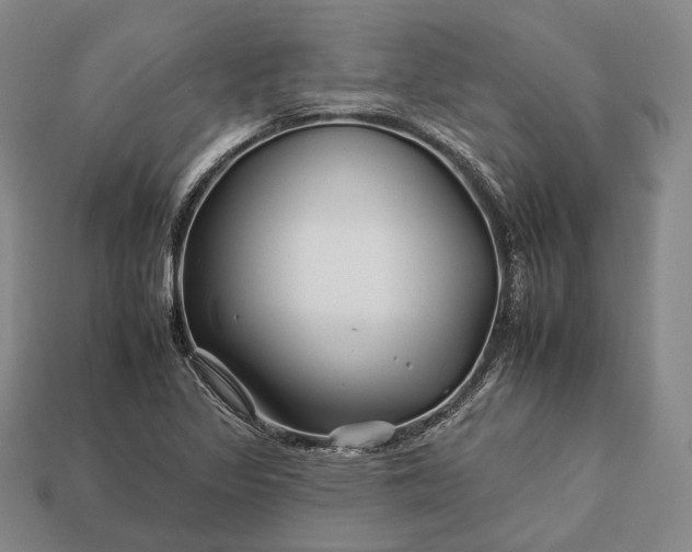 X0000112931317200909071025