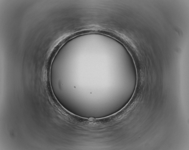 X0000112931318200909071025