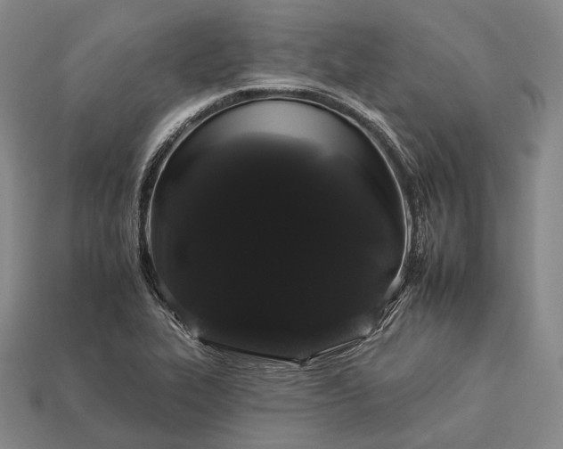 X0000112931319200909071025