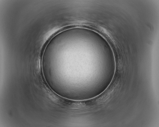 X0000112931320200909071025