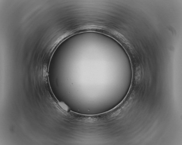 X0000112931321200909071025