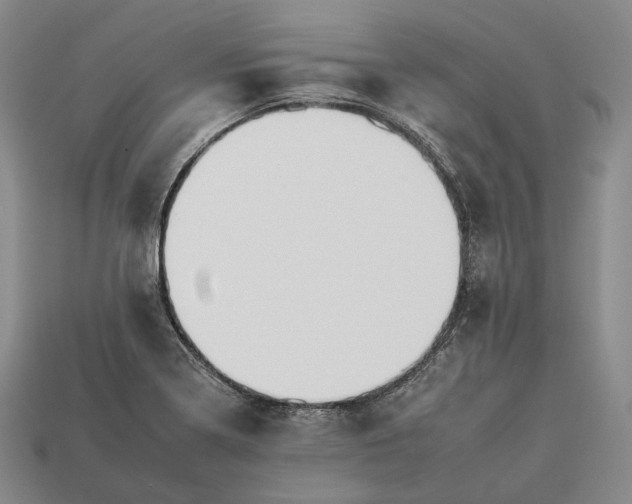 X0000112931322200909071025