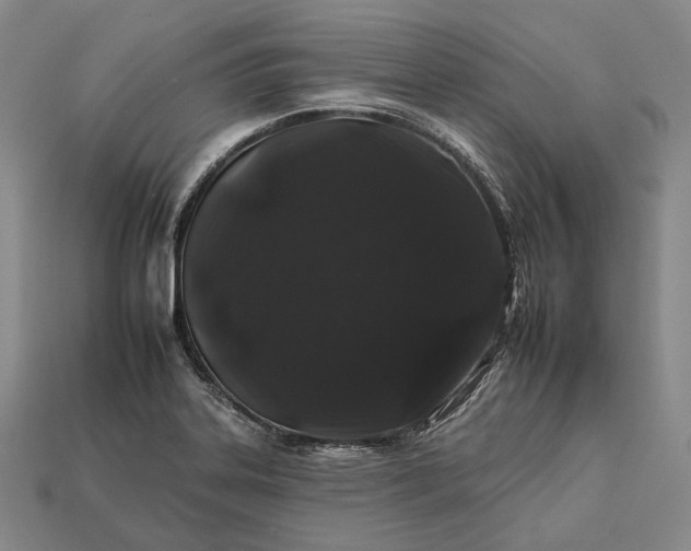 X0000112931323200909071025