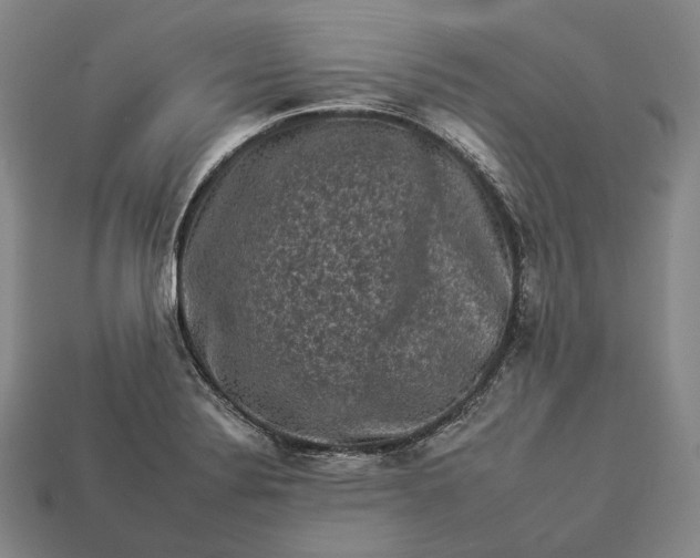 X0000112931324200909071025