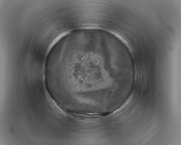 X0000112931325200909071025