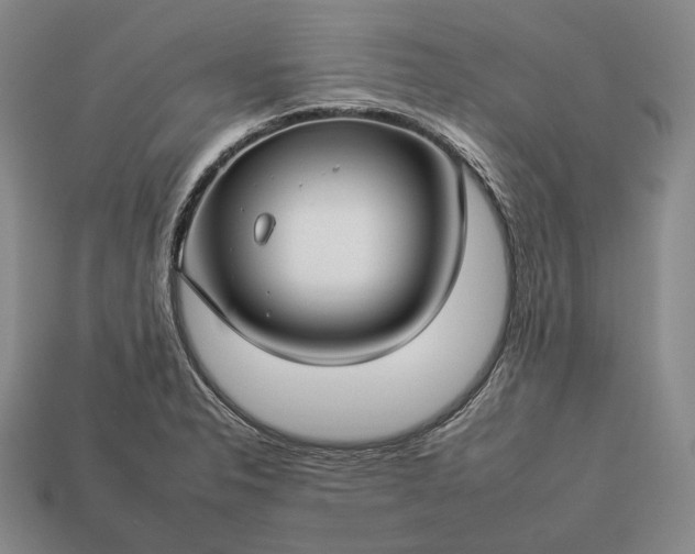 X0000112931326200909071025