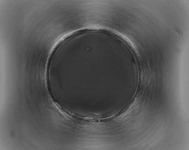 X0000112931327200909071025