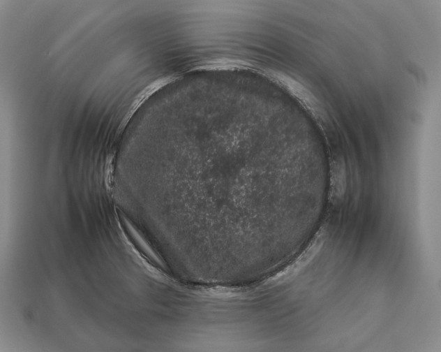 X0000112931329200909071025