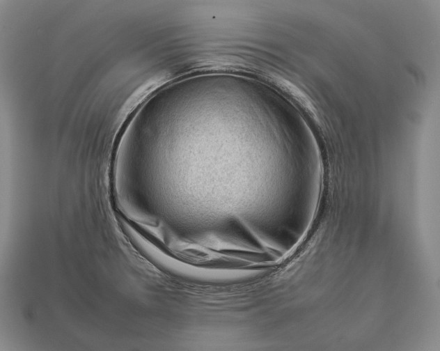 X0000112931330200909071025