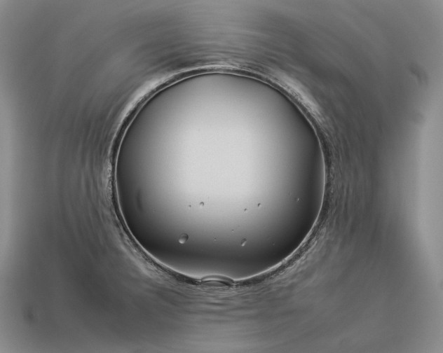 X0000112931332200909071025