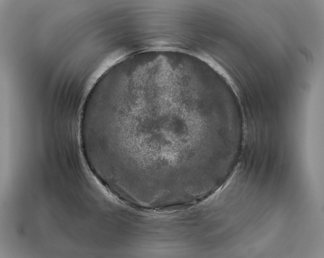 X0000112931333200909071025