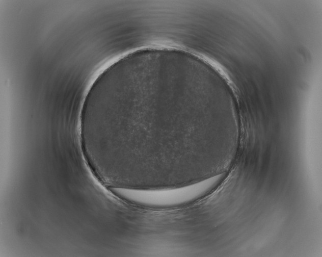 X0000112931335200909071025