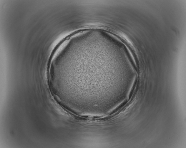 X0000112931336200909071025