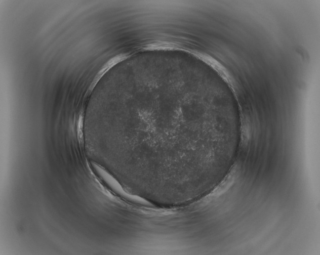 X0000112931337200909071025