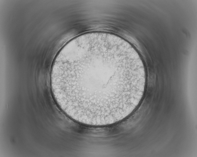 X0000112931338200909071025