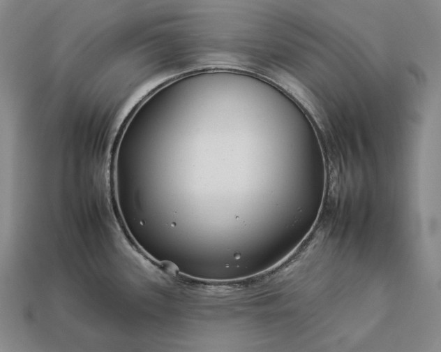 X0000112931339200909071025