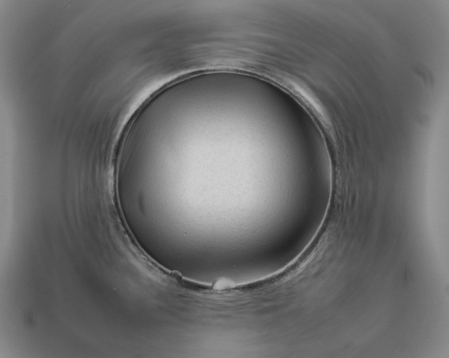 X0000112931340200909071025