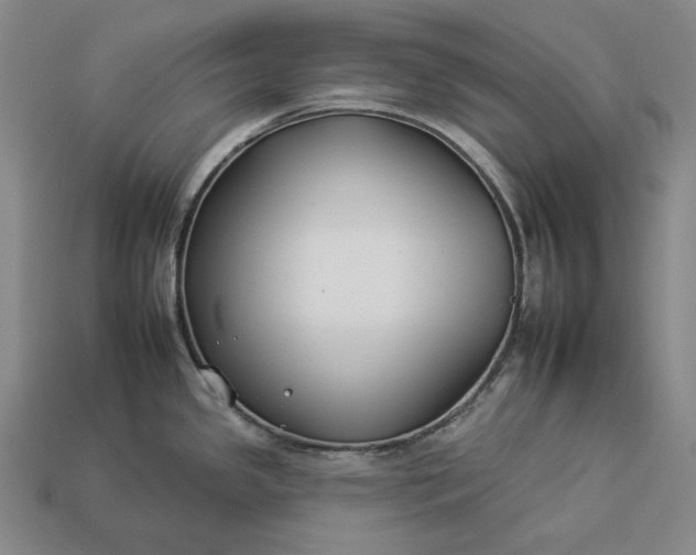 X0000112931341200909071025