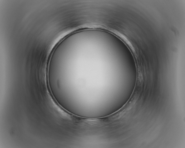 X0000112931343200909071025