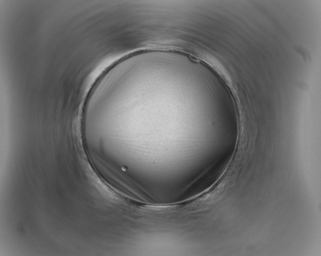 X0000112931344200909071025