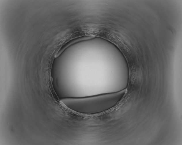 X0000112931345200909071025