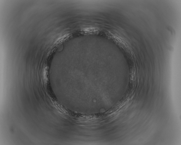 X0000112931346200909071025