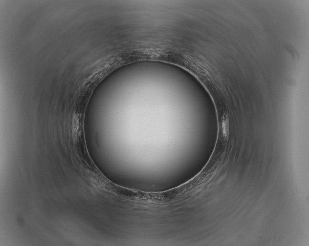 X0000112931347200909071025