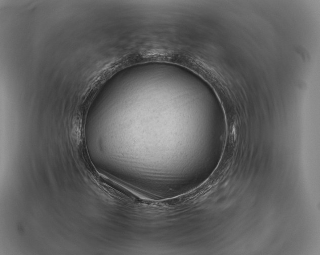 X0000112931348200909071025