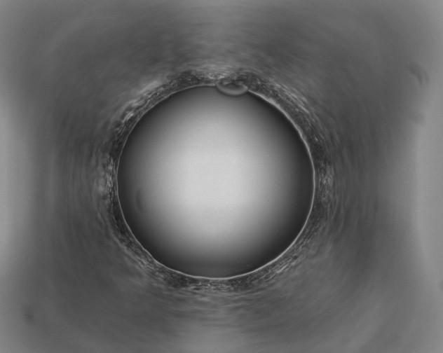 X0000112931349200909071025